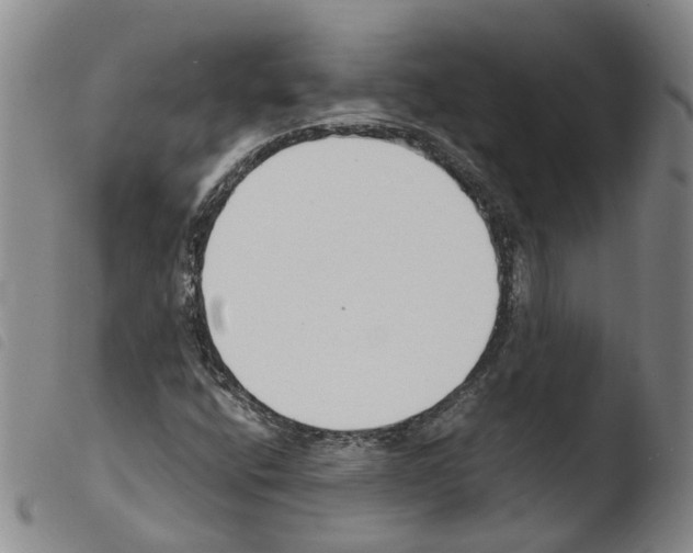 X0000103481400200810241027
