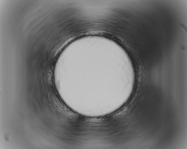 X0000103481401200810241027