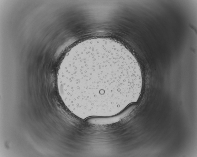 X0000103481402200810241027
