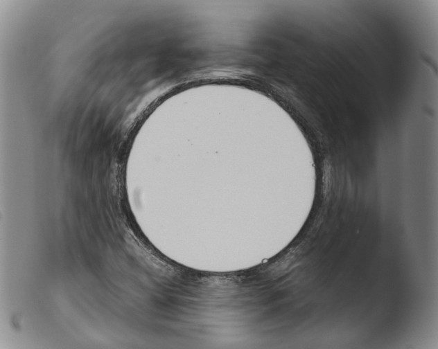 X0000103481404200810241027