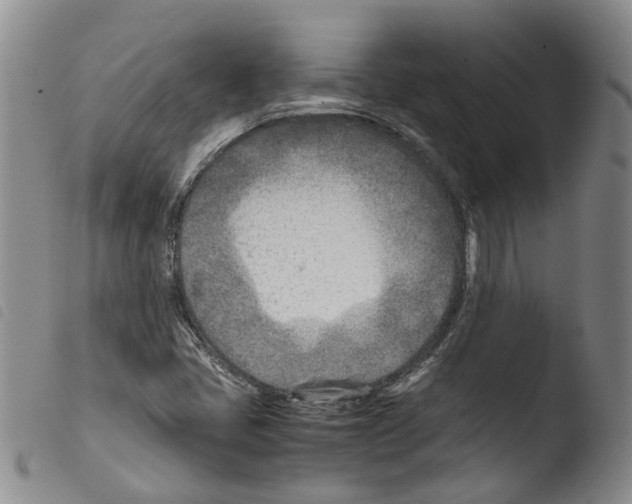 X0000103481405200810241027