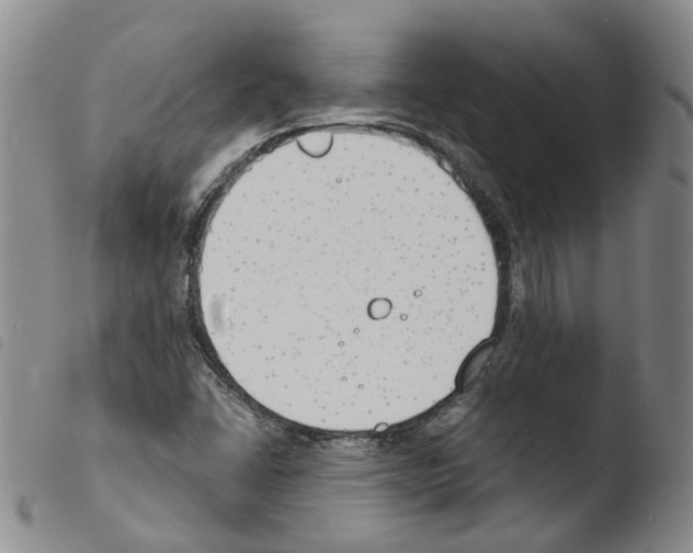 X0000103481406200810241027