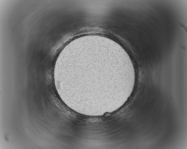 X0000103481407200810241027