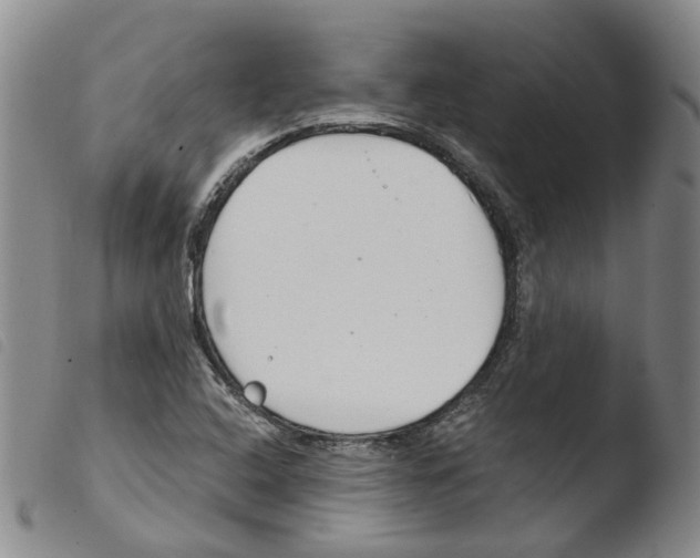 X0000103481408200810241027