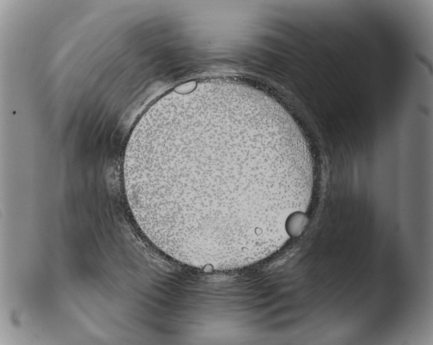 X0000103481409200810241027