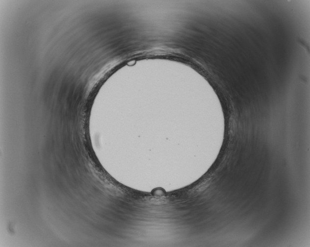 X0000103481410200810241027