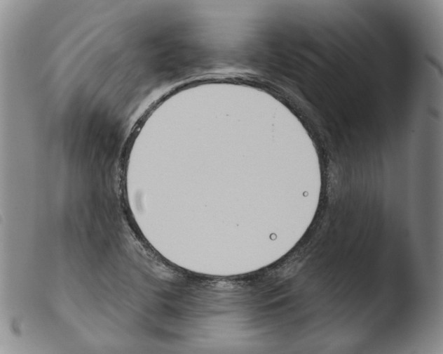 X0000103481412200810241027