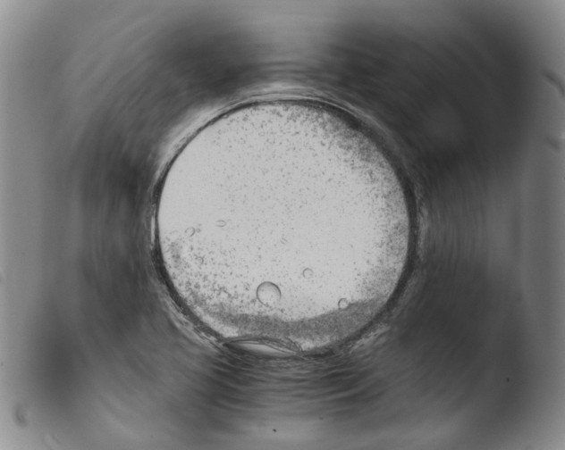 X0000103481413200810241027