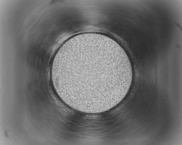X0000103481415200810241027