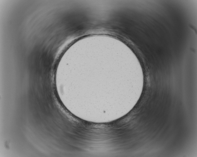 X0000103481416200810241027