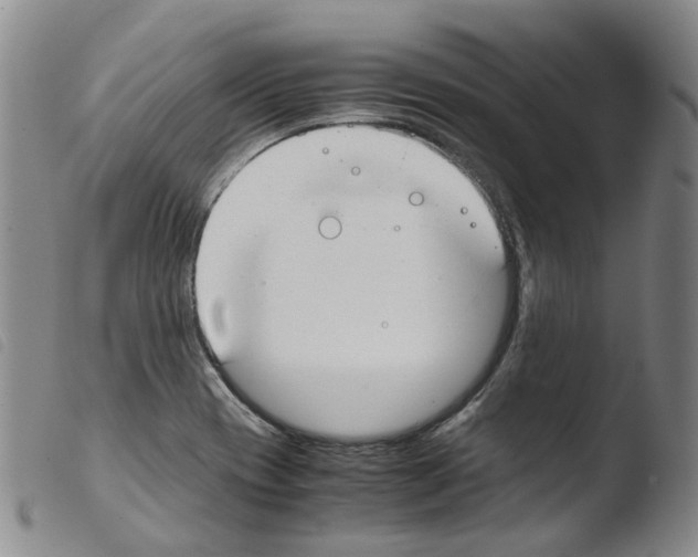 X0000103481417200810241027