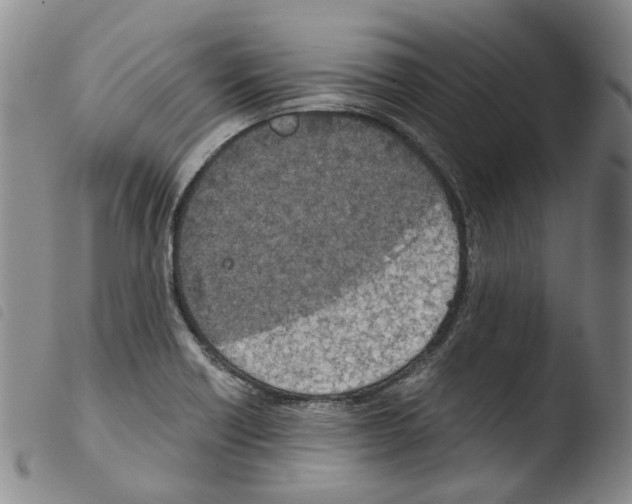 X0000103481418200810241027
