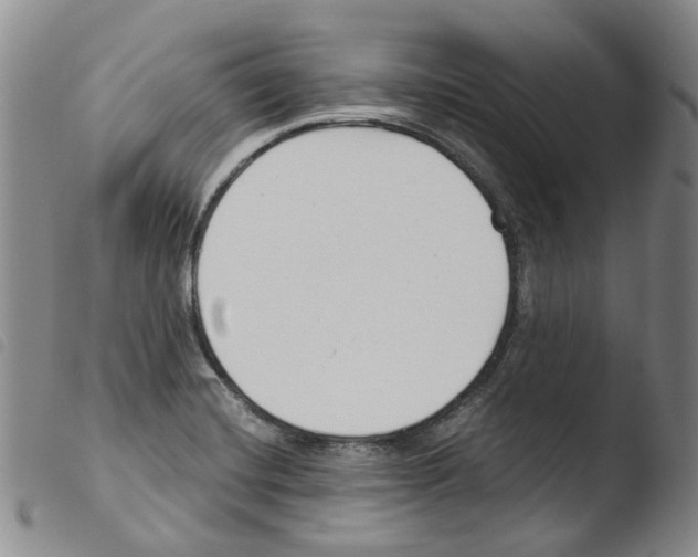 X0000103481420200810241027