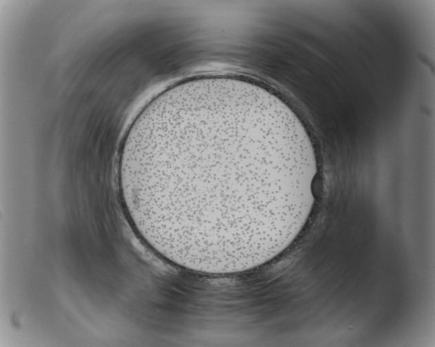 X0000103481421200810241027
