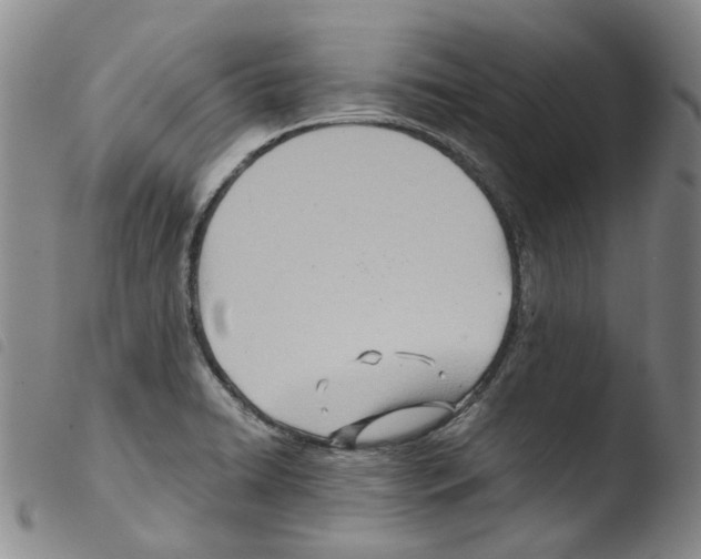 X0000103481422200810241027