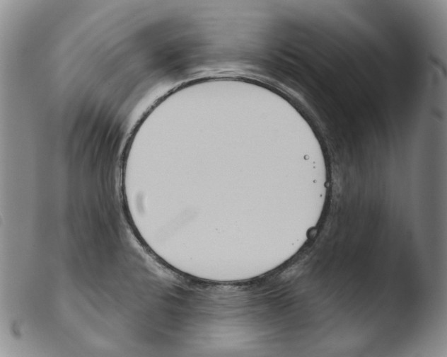 X0000103481424200810241027