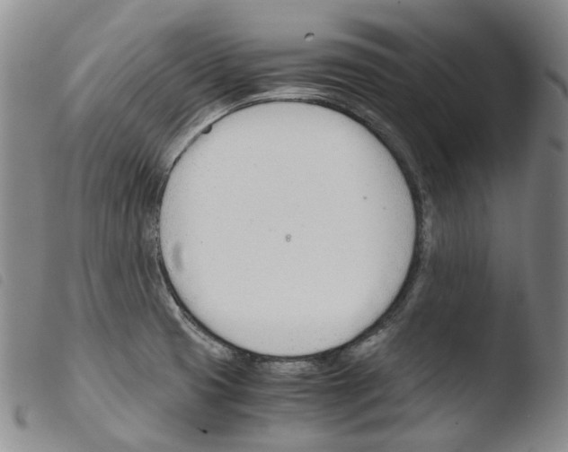 X0000103481425200810241027