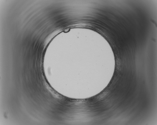 X0000103481426200810241027
