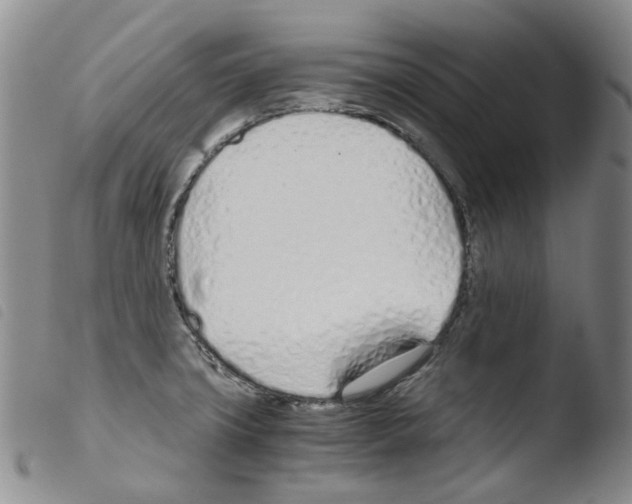 X0000103481427200810241027