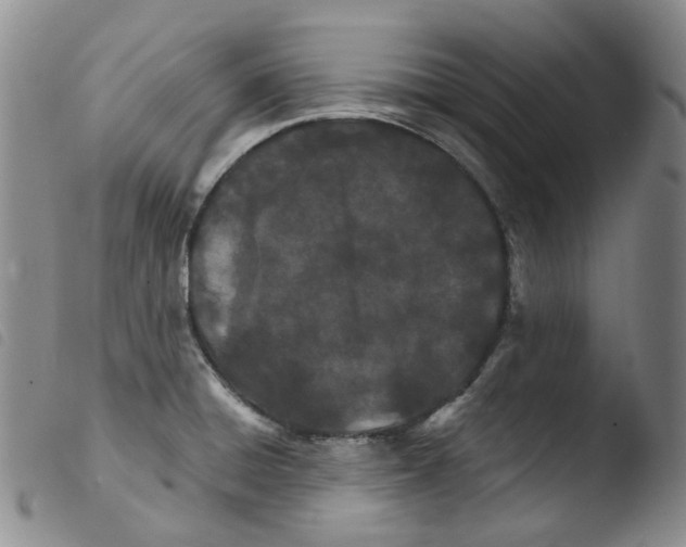 X0000103481428200810241027