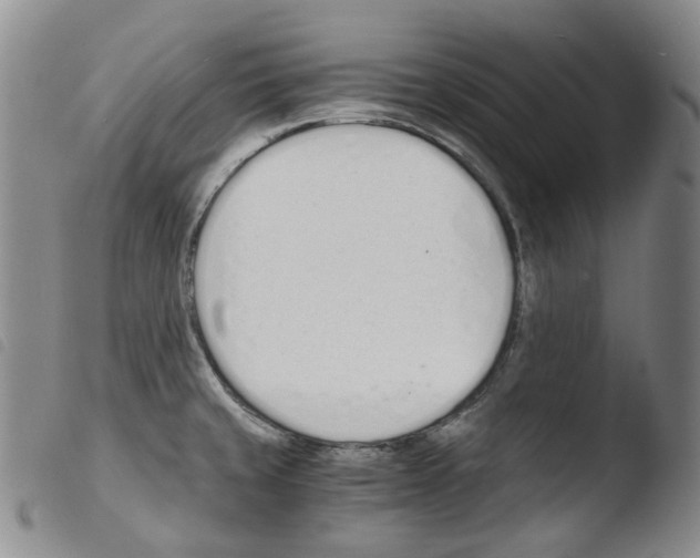 X0000103481429200810241027
