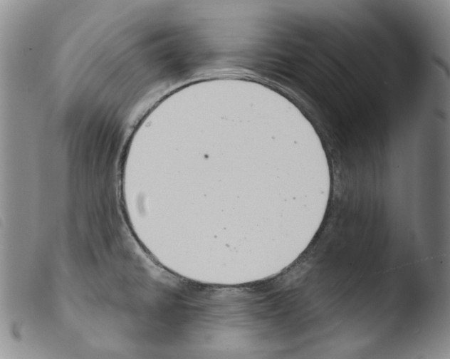 X0000103481430200810241027