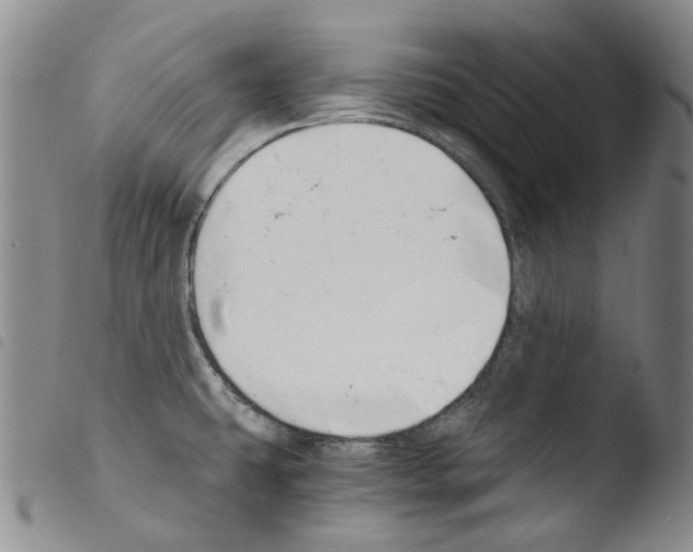 X0000103481431200810241027