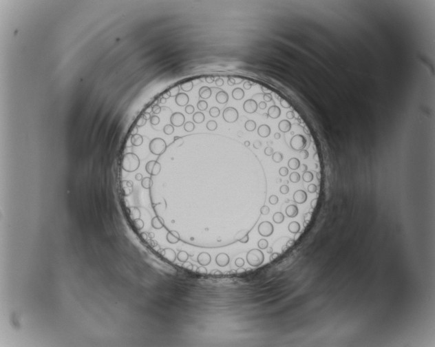 X0000103481432200810241027