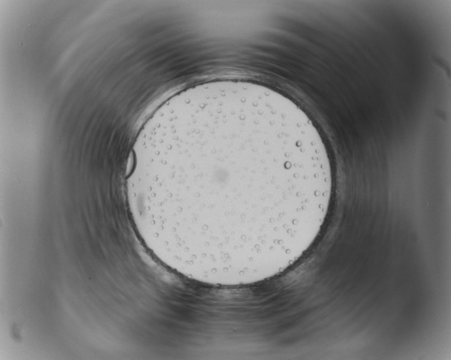 X0000103481433200810241027