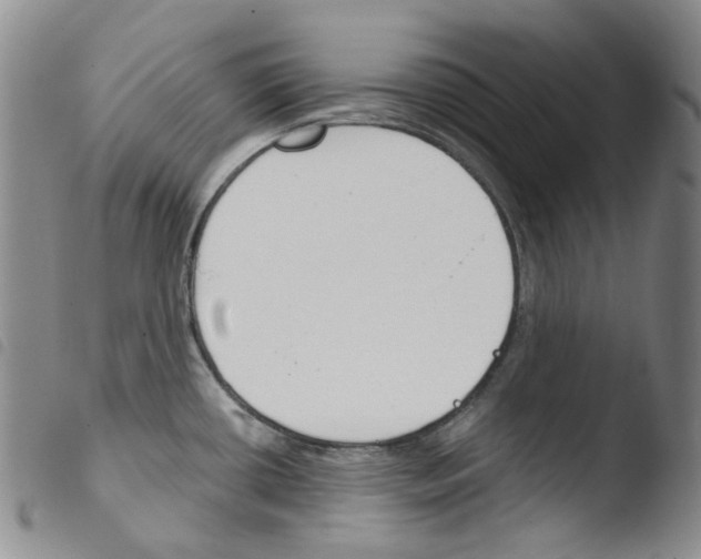X0000103481434200810241027