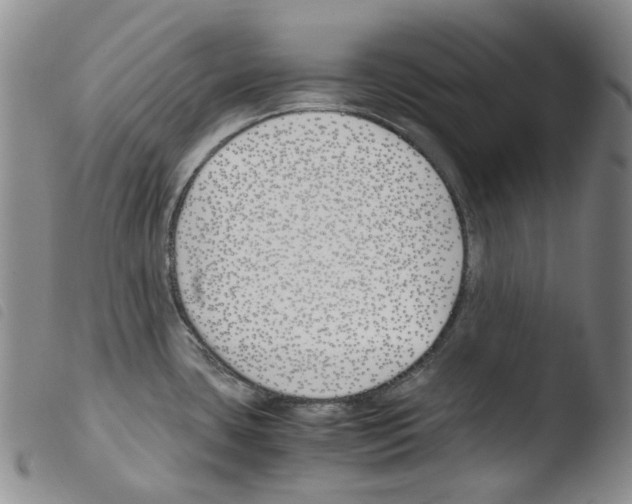 X0000103481435200810241027