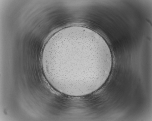 X0000103481436200810241027