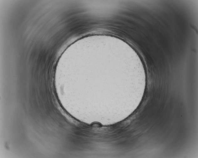 X0000103481437200810241027