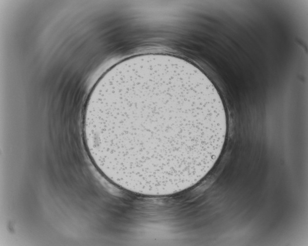 X0000103481438200810241027