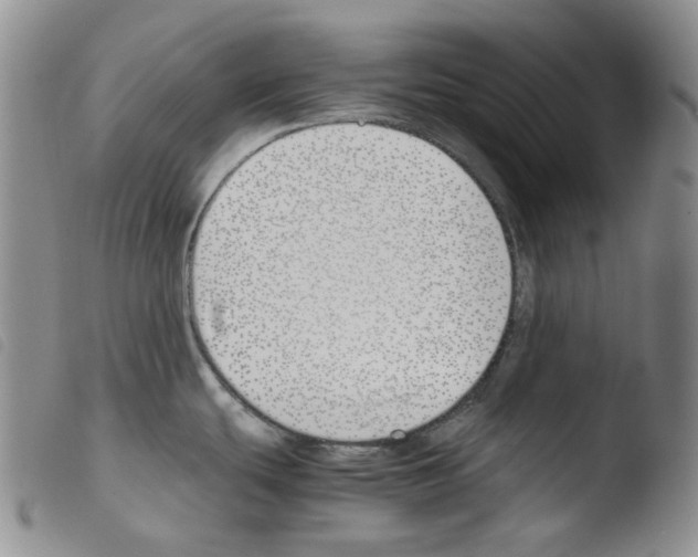 X0000103481439200810241027