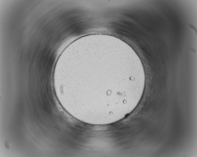 X0000103481440200810241027