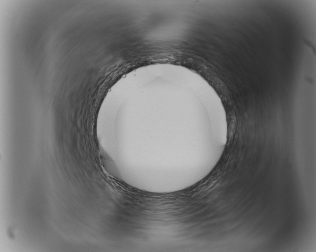 X0000103481441200810241027