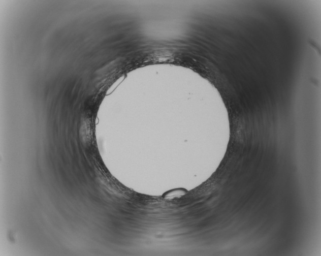 X0000103481442200810241027