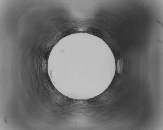 X0000103481443200810241027