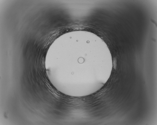 X0000103481444200810241026
