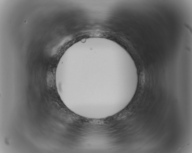 X0000103481446200810241026
