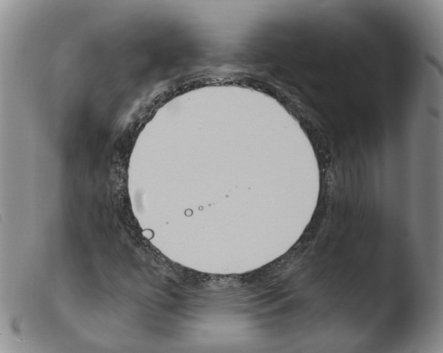 X0000103481447200810241026