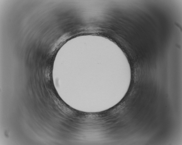 X0000103481451200810241026