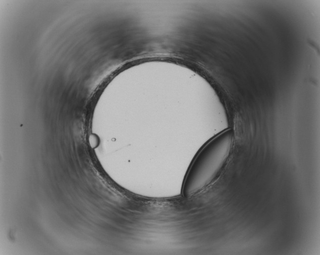 X0000103481452200810241026
