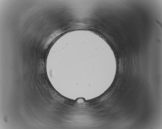 X0000103481453200810241026