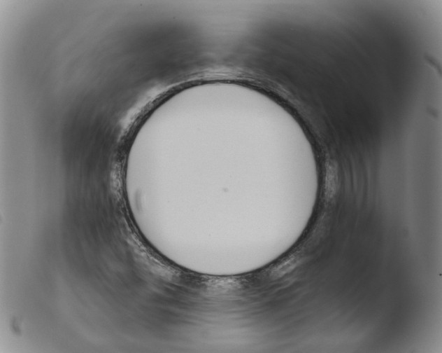X0000103481454200810241026