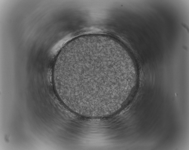 X0000103481455200810241026