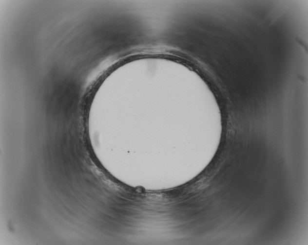 X0000103481456200810241026