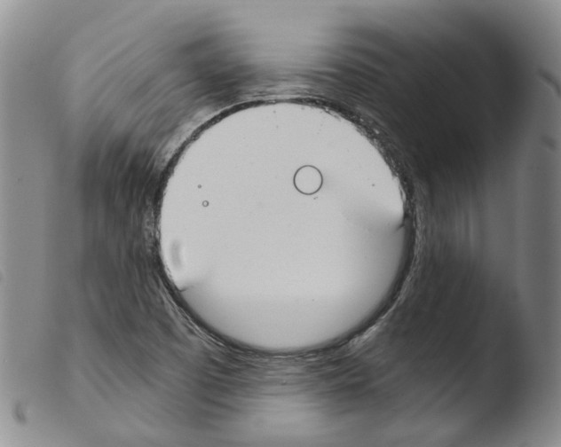 X0000103481457200810241026