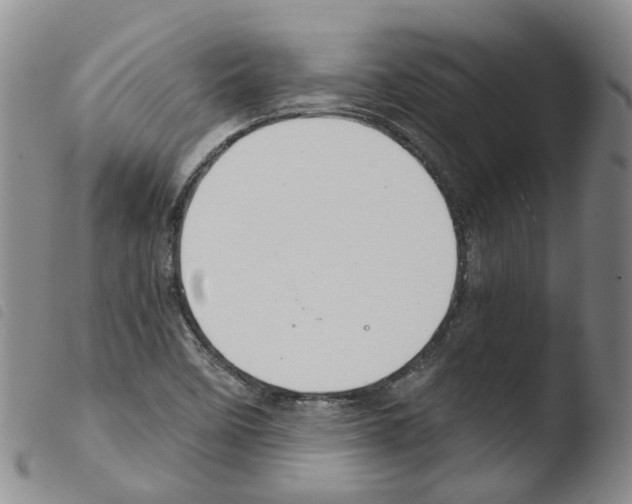 X0000103481458200810241026